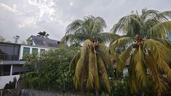 Harlyn Road (D11), Detached #554136861